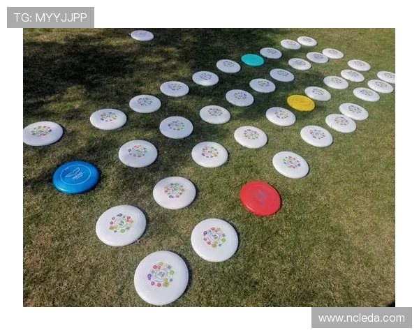 上海飞盘队的蜕变之路：从业余爱好到极限运动联赛的崛起与挑战