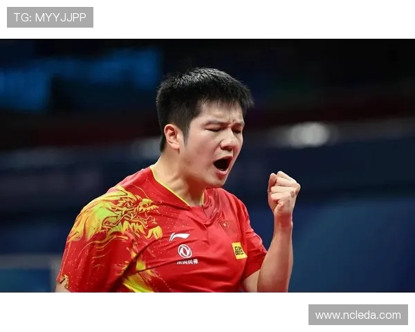 乒乓球盛宴：深入杭州乒乓球队的速度与激情之旅