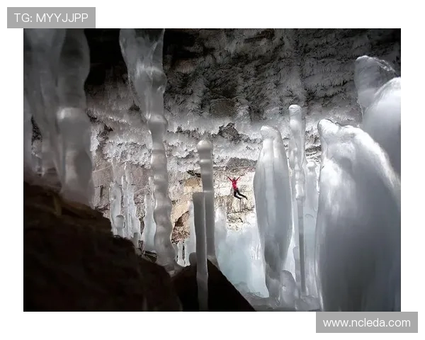 广州极限运动队与南京极限运动队赛后分析力量对决的精彩瞬间
