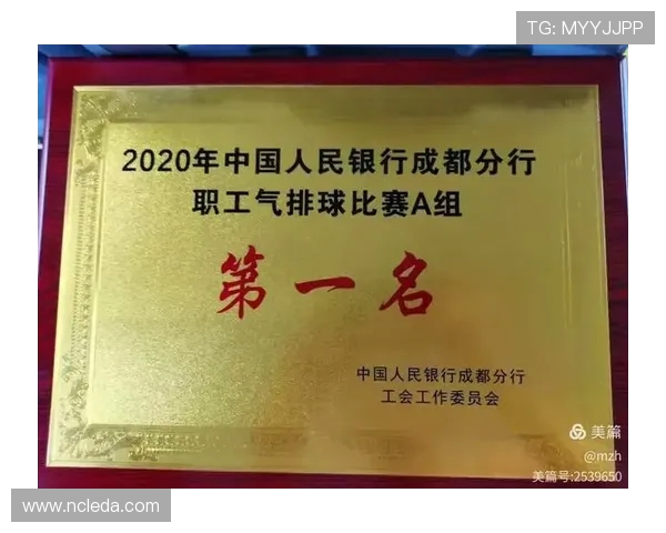 排球之魂：深入了解成都排球队的精神与团队意识